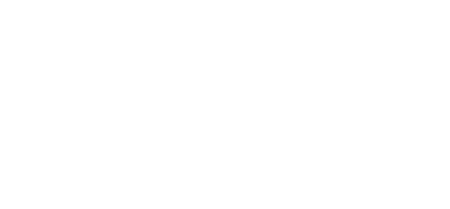 Pest Control Service in South Carolina