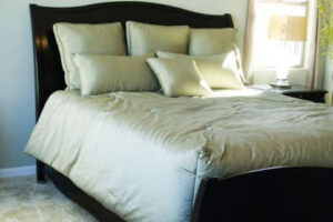 Bed Bug Protection in South Carolina