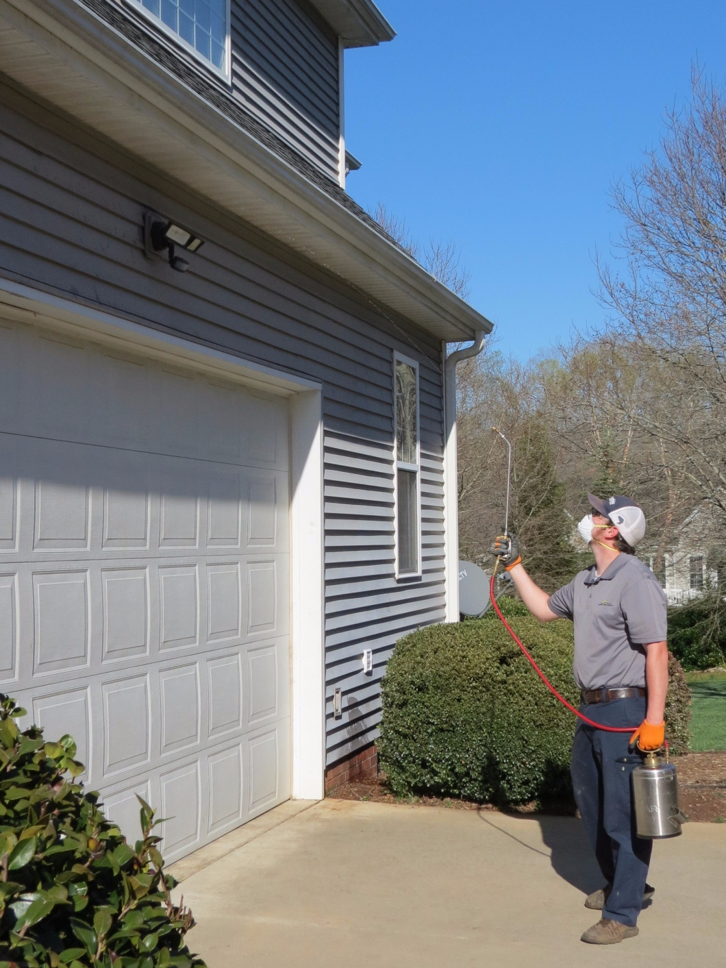 Pest Control Services in Easley and Greenville SC