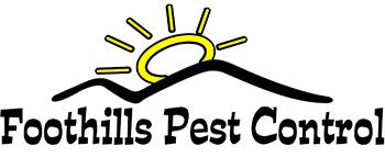 Pest & Termite Control | Easley & Greenville, SC | Foothills Pest Control