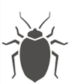 Bed Bug Control Removal South Carolina