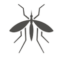 Mosquito Control South Carolina