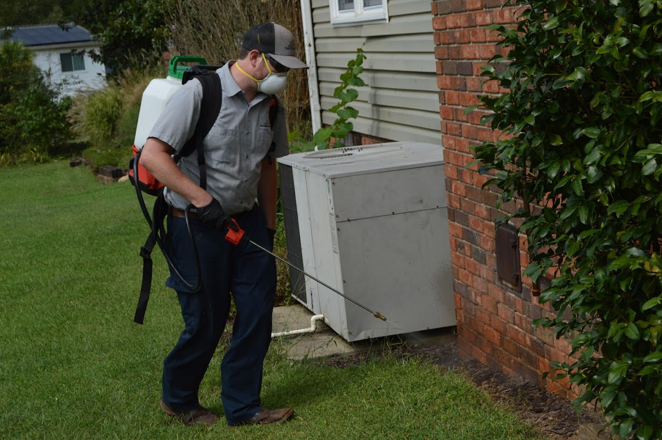 Pest Control Service in South Carolina