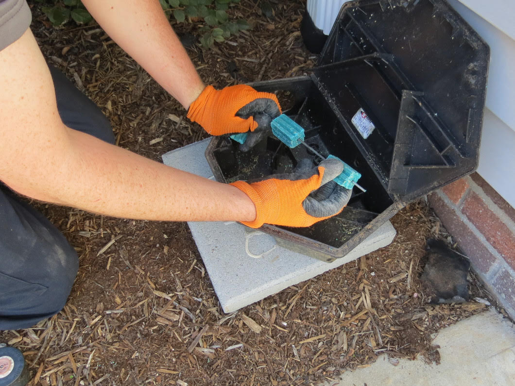 Rodent Control Service in South Carolina